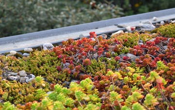 the cost of Coswinsawsin green roof installation