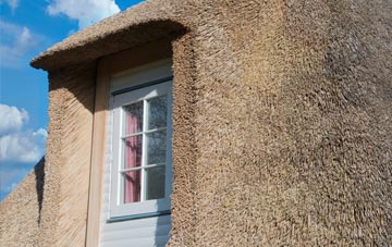 Coswinsawsin thatch roof disadvantages